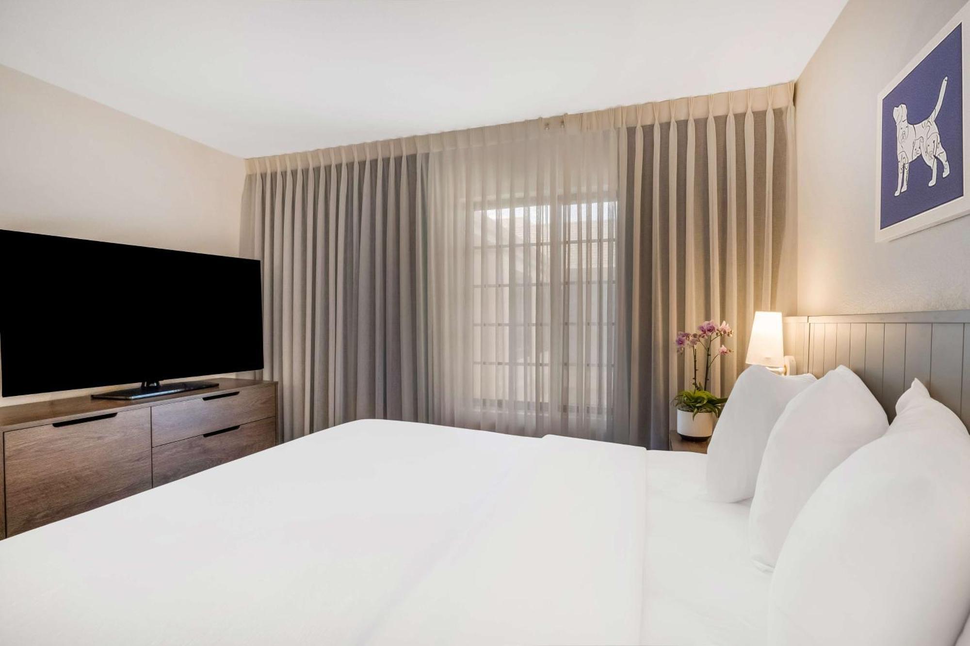 Sonesta Es Suites San Jose - Airport Exterior photo